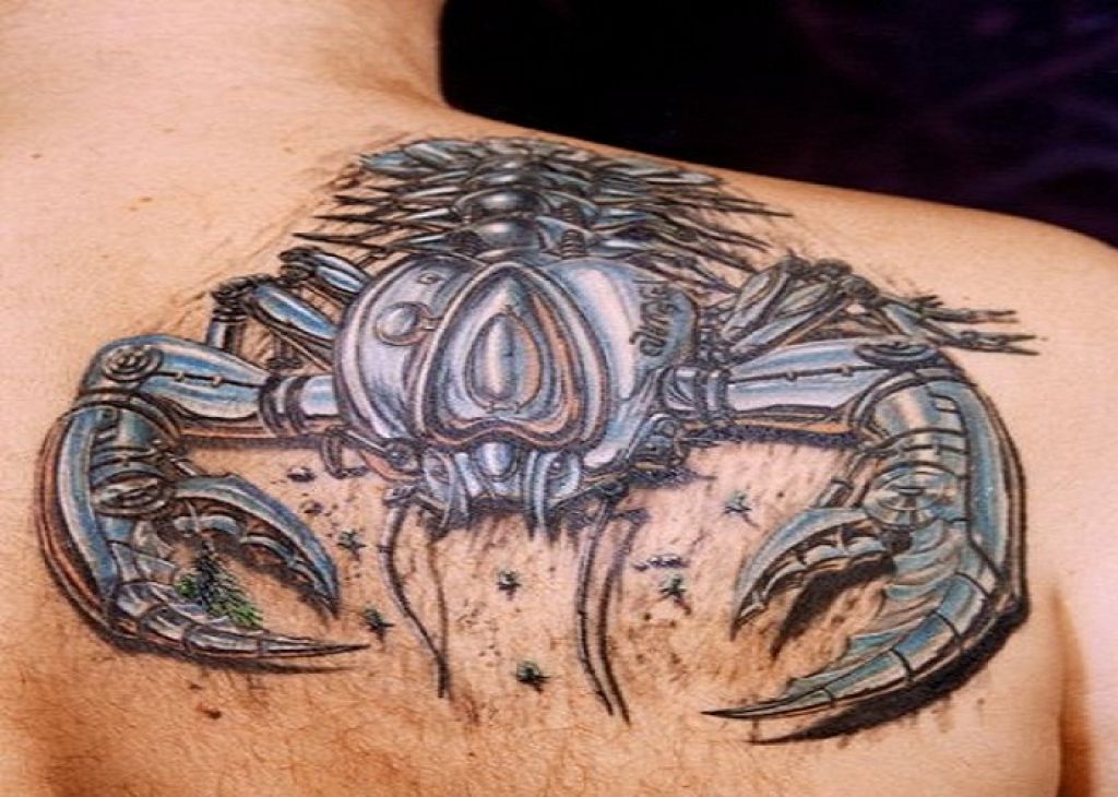 Amazing 3D Scorpion Tattoo Design For Guys Pictures Amazing 3D Scorpion Tattoo Design For Guys Pictures