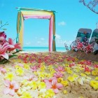 Beach Wedding Ideas Best Pictures Beach Wedding Ideas Best Pictures