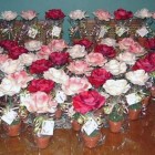 Bridal Shower Gifts To Make Pictures Bridal Shower Gifts To Make Pictures