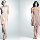 Bridesmaids Vintage Dress 2013 Best Pictures Bridesmaids Vintage Dress 2013 Best Pictures