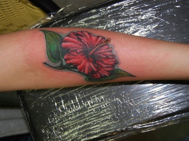 Bright Red Hibiscus Flower With Green Leaves For For Forearm Tattoo Bright Red Hibiscus Flower With Green Leaves For For Forearm Tattoo