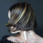 Dark Brown Hair With Highlights 2013 Pictures