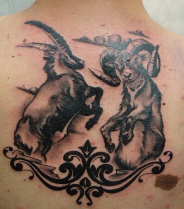 Design Tattoos Capricorn Vs Aries Design Tattoos Capricorn Vs Aries
