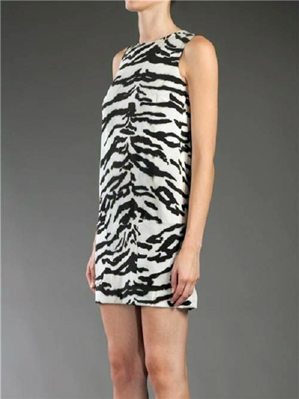 Dolce Gabbana Zebra Dress Concept Dolce Gabbana Zebra Dress Concept