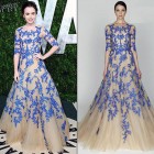 Fairy Wearing Ball Gown 2013 Pictures