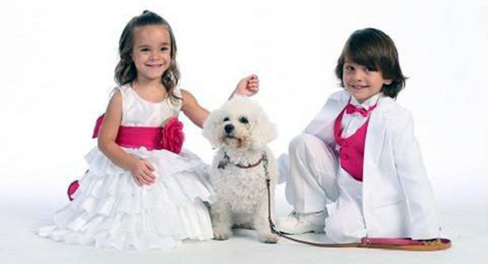 Girls Occasion Wear Dresses 2013 Girls Occasion Wear Dresses 2013
