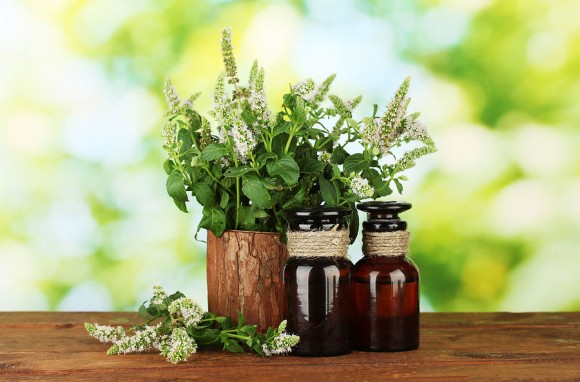 organic skin care, Wordless Wednesday at Skin Perfection organic skin care, Wordless Wednesday at Skin Perfection