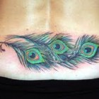 Peacock Feathers Tattoos Images Pictures Peacock Feathers Tattoos Images Pictures